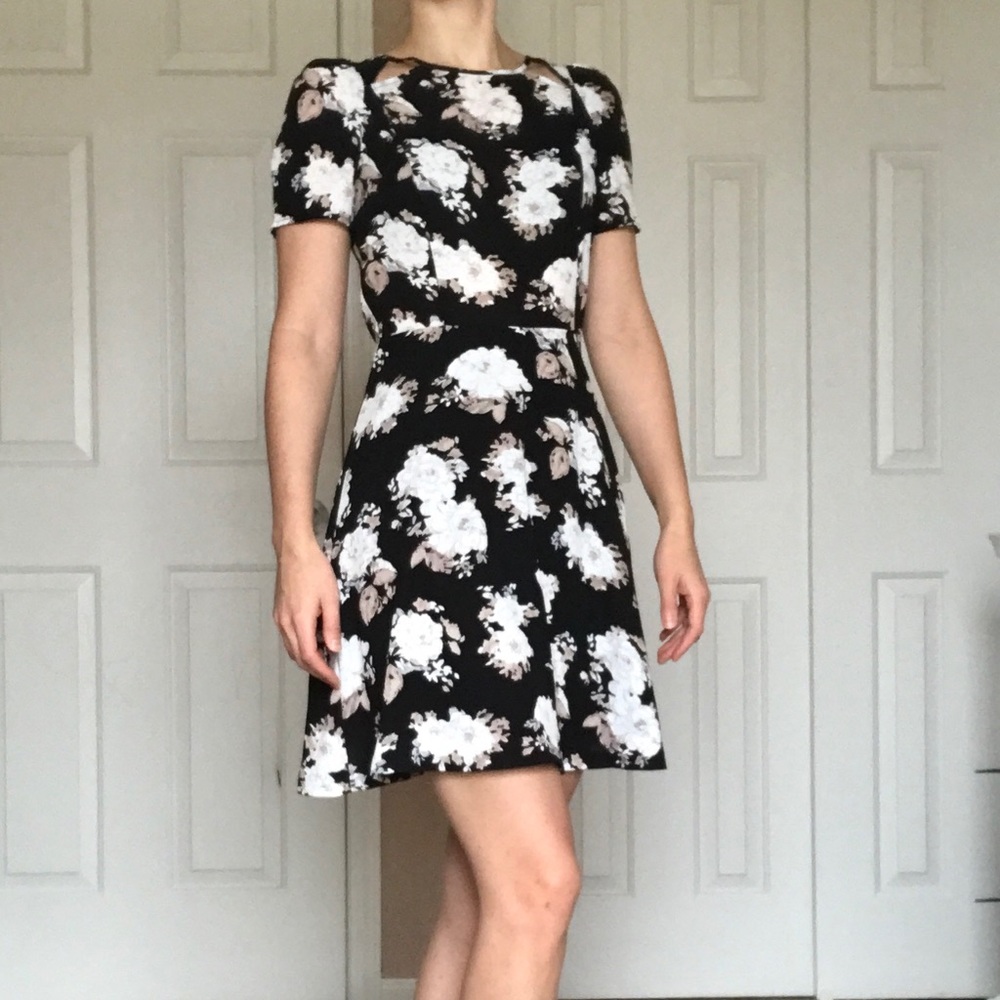 B.B. Dakota A-Line Knee Length Floral Dress